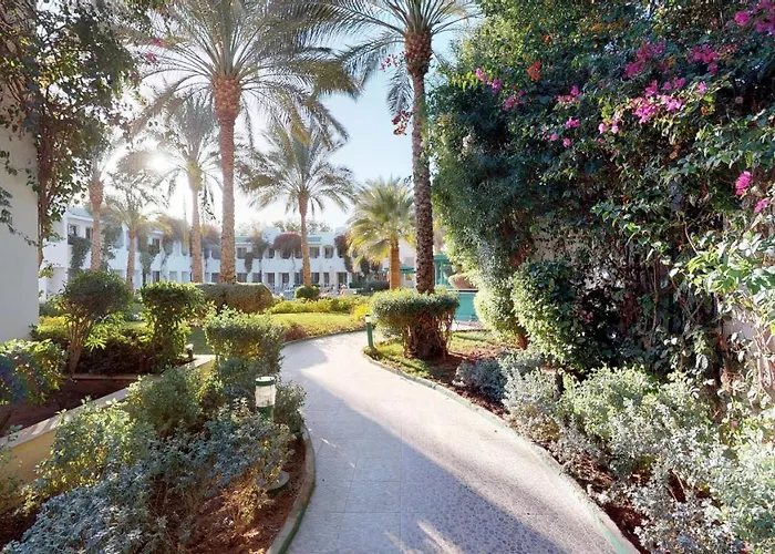 Resort Falcon Hills 3*